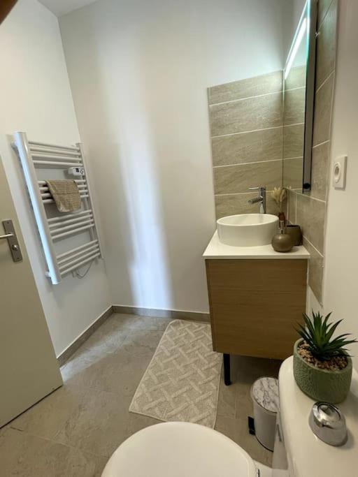 Appartement Cosy Et Lumineux ออร์ลี ภายนอก รูปภาพ